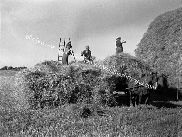 MEN HARVESTING